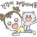 이동카모터스 이미지