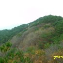 비들산정상 Daum카페