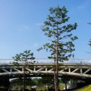 대구미술관 이미지