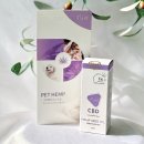 강아지 CBD 오일 추천 펫햄프 라이트 천연햄프씨드 오일 후기