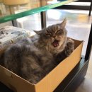 21세기동물병원 이미지