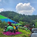 01-24 동구 이미지