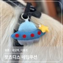 왓츠디스 | 강아지 네임택 이름표 추천 왓츠디스, 하네스 꾸미기에도 제격