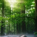 소래미소치과의원 이미지