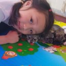 삼남매농장 이미지