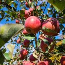 햇뜰농장 이미지