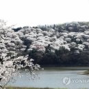 호암플라자 이미지