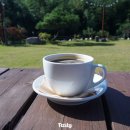 11월카페 이미지