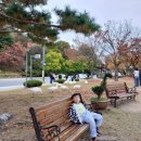 한빛기술원 | [대전1박2일여행] 카이스트 오리연못 방문후기 (위치 및 주차)