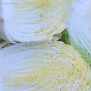 가치마루농장 이미지