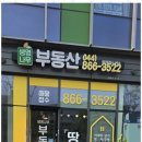 어진동부동산 세종시 부동산 중개 고민 해결, 생명나무부동산 후기