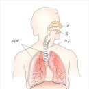 연세길한의원 이미지