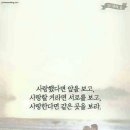 꿀사랑