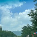 UR(경주시)-[경감로]-상-21 | [경주여행] 6월 여름 경주여행 2박3일 2탄 (유적지, 맛집 위주)