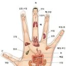 손 마사지 방법 (잠부족,어깨결림,허리통증,눈침침,스트레스) 이미지