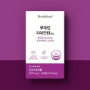 무진상회 쇼핑하우
