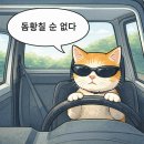 강남대로 399 (1) | (오픽 벼락치기 al 후기) 회사 명령으로 한 달 만에 AL 받아버림