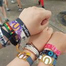 (주)비이엠코리아(B.E.M Korea) | [UMF KOREA 2018] 토,일 후기 (feat.먹거리 &amp; 좋은것도 나쁜것도)