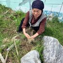 미탄초등학교 이미지