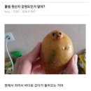 물범은 사실..jpg 이미지
