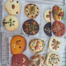 대구와룡초등학교 이미지