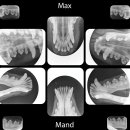 헤아림동물병원 이미지