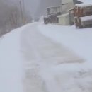 웅이네농장 이미지