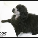 나우 실버케어 이미지