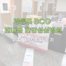 영등포 BCG 피내용 한강성심병원ㅣ위치 예약 주차 후기