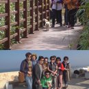 죽도농장 이미지