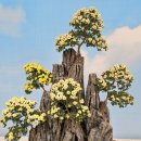 태인농장3 이미지