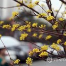 사)무지개가족 Daum카페