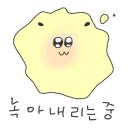 샵컷트맛집 이미지