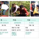 장단콩마을 이미지