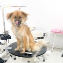 멍테소리 이미지