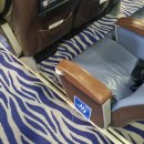 터미널관광나이트 | 홍콩 마카오 4박5일 여행 코타이워터젯 탑승, 마카오 데이투어+ 나이트투어 후기