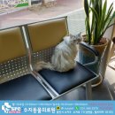 수지동물의료원 이미지