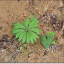 우산농장 이미지