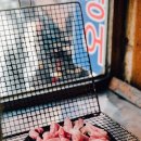 국내산 싱싱 연탄 산곰장어 이미지