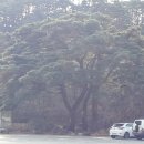 치악산둘레길 1코스 꽃밭머리길 이미지