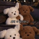 바다연가펜션 이미지