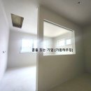 경남개나리벽지