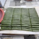강화떡사랑