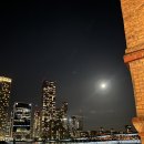 리버트리 | 런던 가성비 호텔 추천 - 템즈강 더블트리 바이 힐튼 도클랜즈 리버사이드 리버뷰 숙박후기