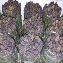 고성군청본관(3층) 이미지