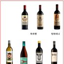뉴박하앤구구단 | [스페인 와인 추천] CASA ROJO MACHOMAN GRAN VINO 2021; 카사로호 마초맨 그란비노 2021