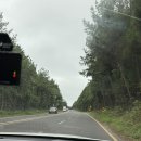 무산목장 | 만삭 스냅 : 인상적 스냅 정후 작가님 2시간 촬영 후기 (9월말 비오는 날 촬영한 후기), 제주 야외 웨딩...