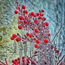 해빙&amp; 큰딸의 신작. 이미지