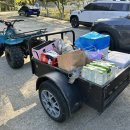 솔푸른향기애견 이미지