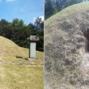 죽산박씨 문헌공파 묘역(박원형, 박안성, 박지영 묘) 이미지